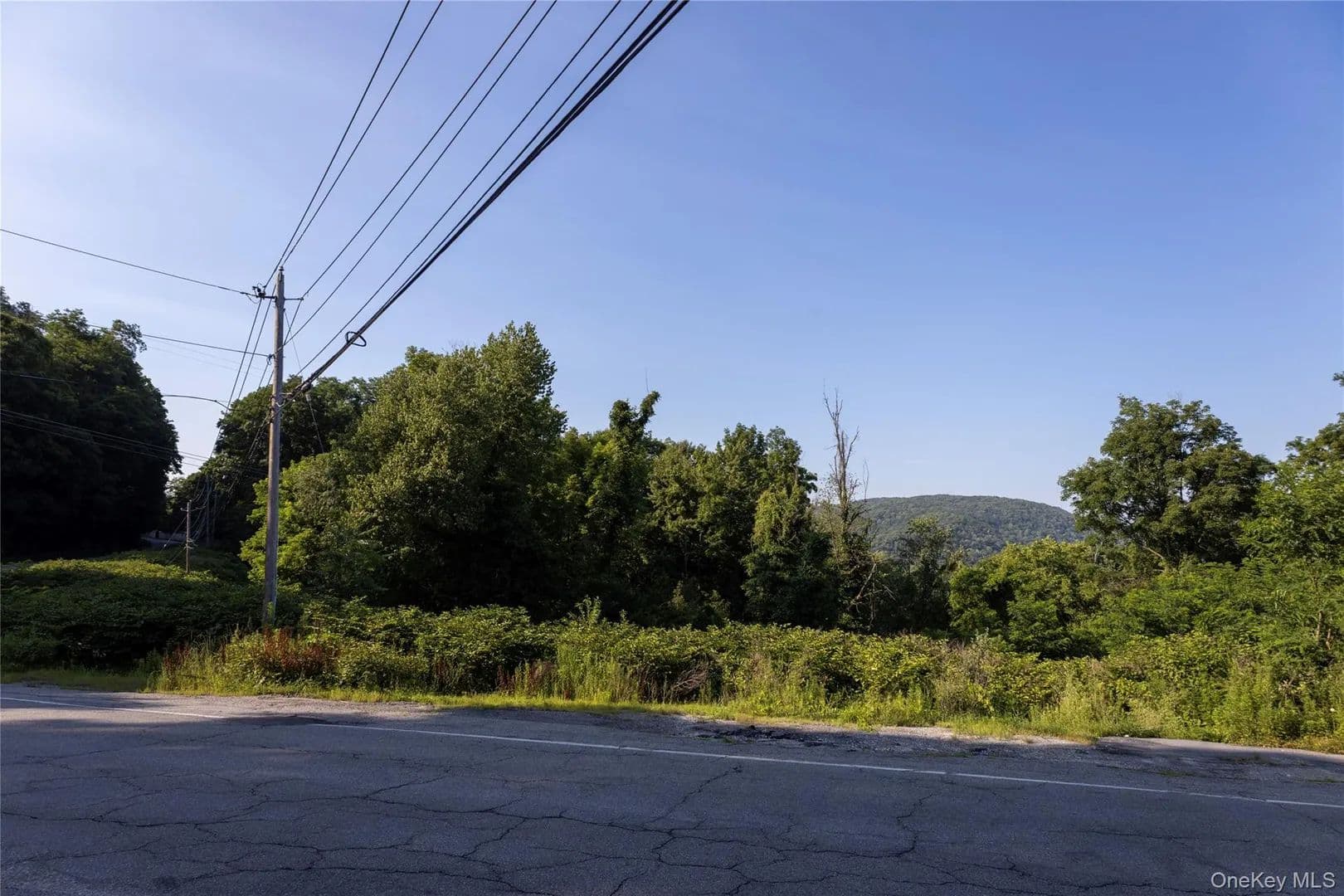 Vacant Land in Patterson - Patterson, New York, 12563