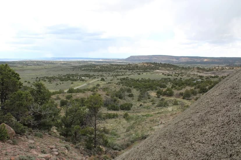 Top of the Mesa 80 Ac 6A GMU Cuba, NM