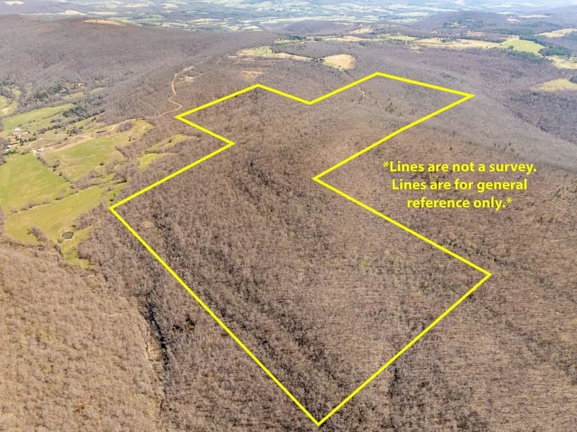 Rare 200 +/-  Acre Tract | Timber, Views & Hunting Paradise, Fox, Arkansas, Stone County