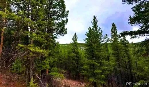 Property from 111 Forest Service Rd 752.3B - KW