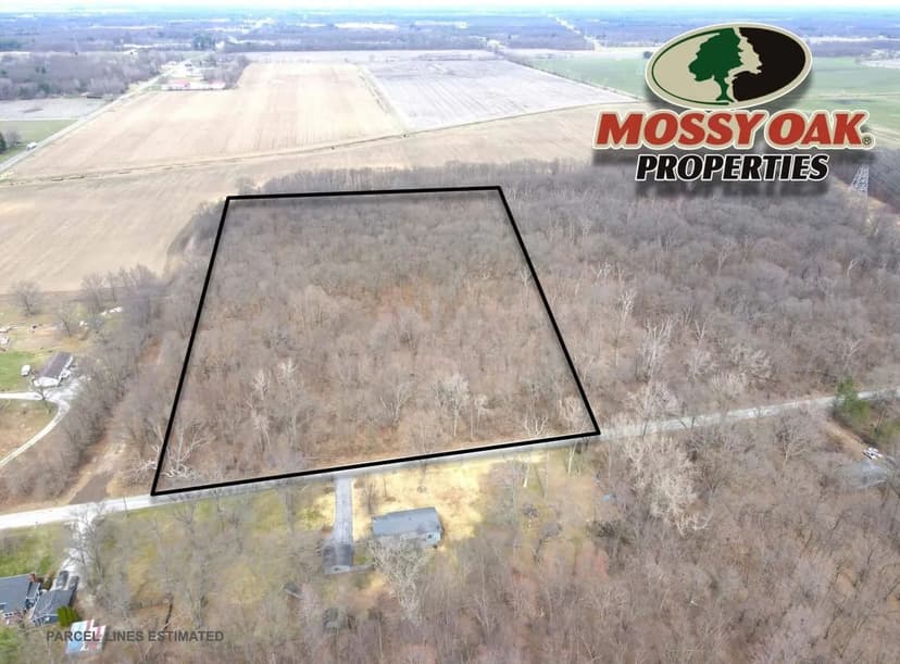 20± Acres in Starke County – Timberland with Potential Building Site – Land for Sale