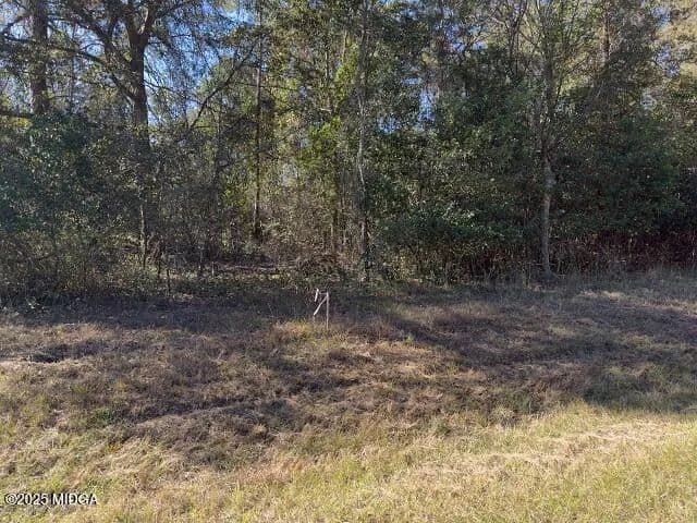 Vacant Land in Macon
