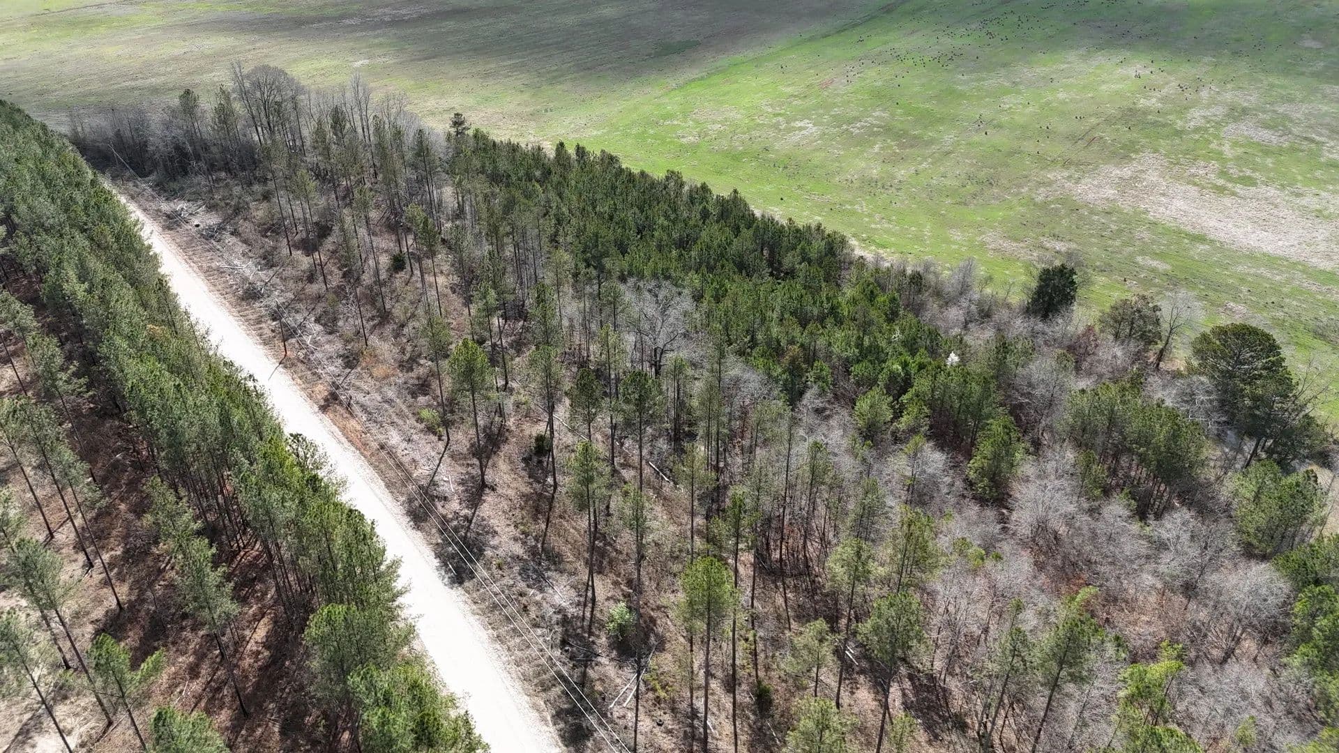 Gleneagles Lot 15 - Piedmont, Alabama, 36272