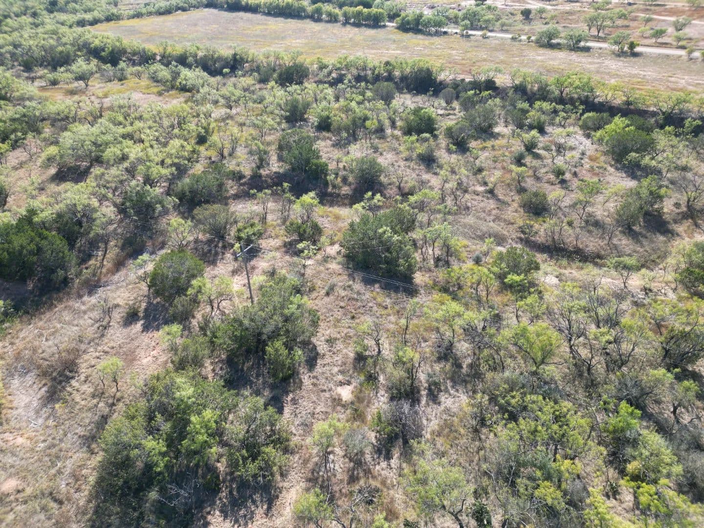 NEW LISTING!! 51 +/- Ac TBD 196 (Tr 2), Ovalo - Ovalo, Texas, 79567