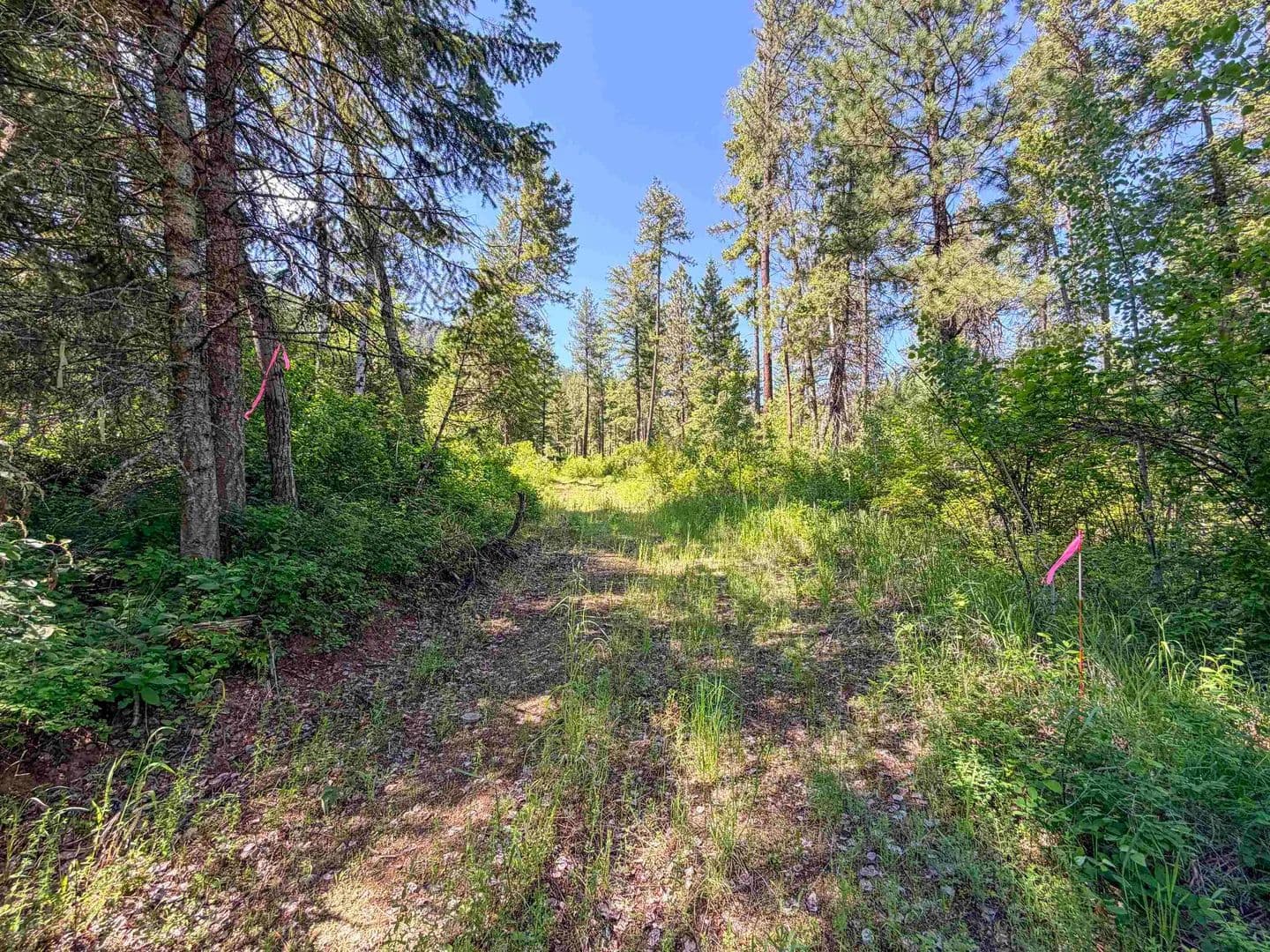 7.5 Acres of Land for Sale in Addy, Washington - Addy, Washington, 99101