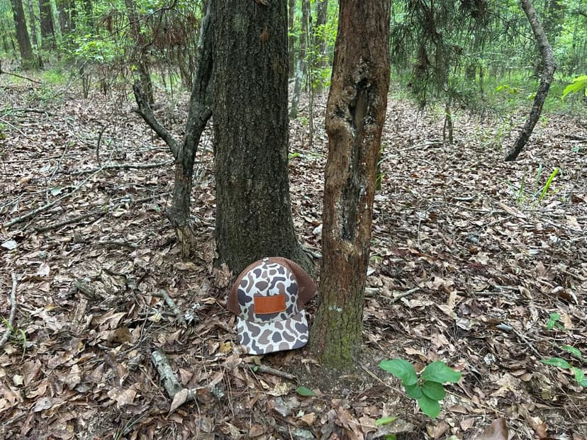 182.62 Acres in Coffee County, AL 