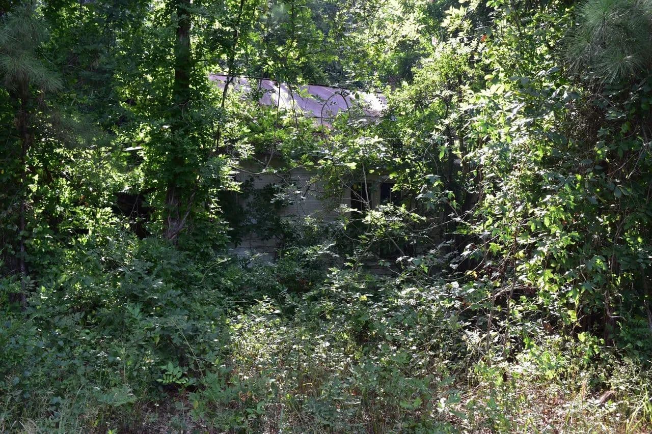 Chambersville Farm - Fordyce, Arkansas, 71742