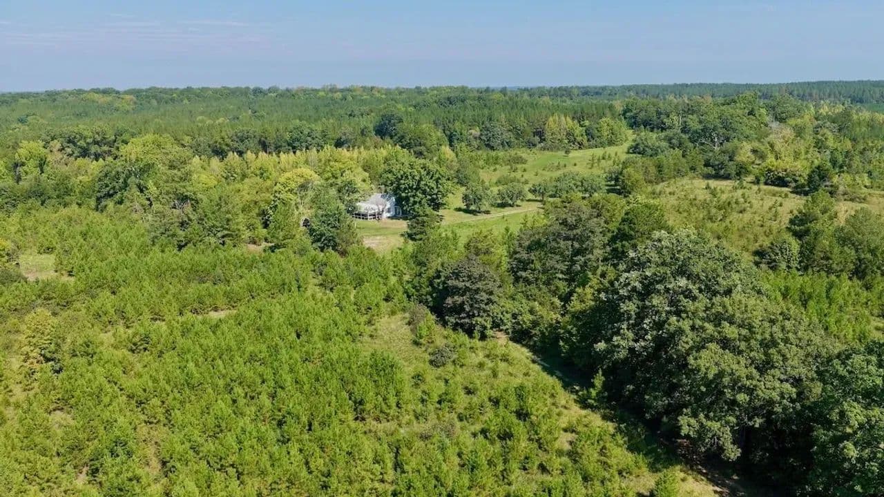 637 acres of Recreational and Timber land in Halifax County, VA! - land for sale