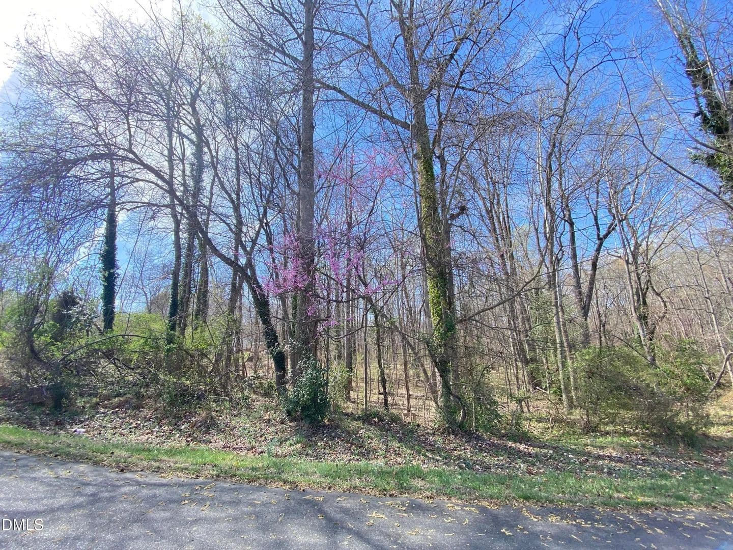 Lots & Land-Other in Siler City - Siler City, North Carolina, 27344