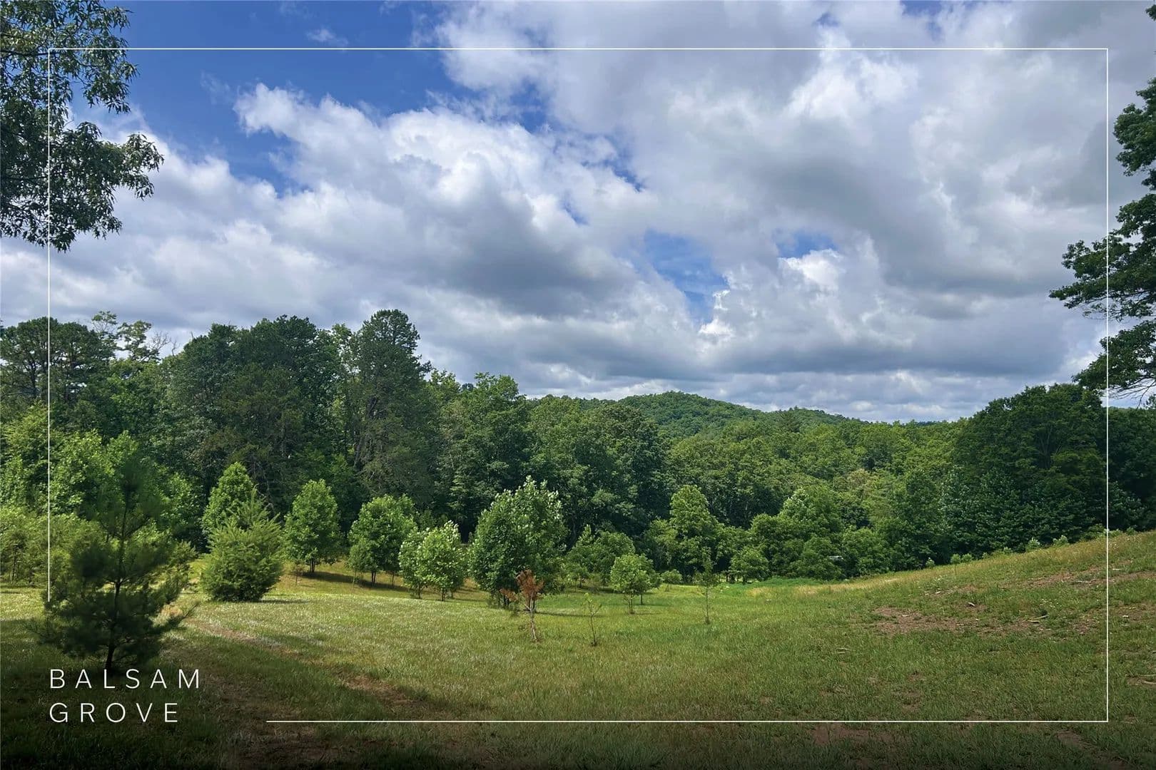 4.66 Acres of Land for Sale in Balsam Grove, NC - Balsam Grove, North Carolina, 28708