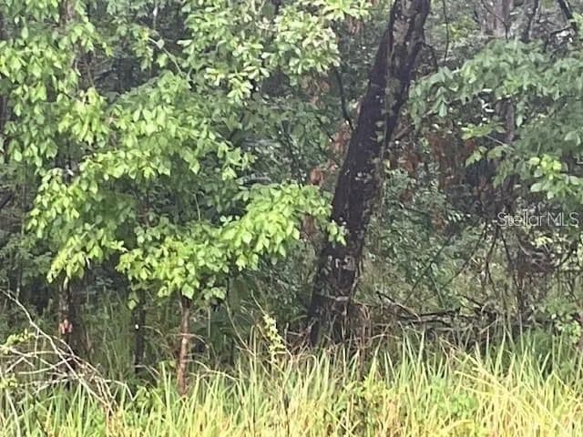 Lots & Land-Other in BROOKSVILLE - Brooksville, Florida, 34601