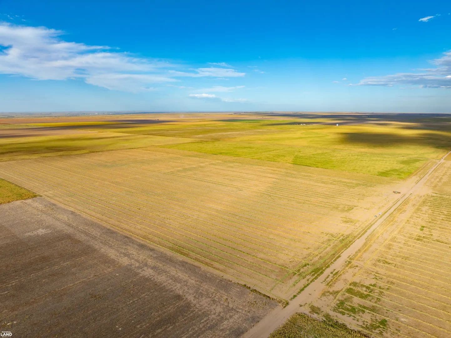 160 Acre Dryland Farm, Sedgwick County, Colorado - Ovid, Colorado, 80744