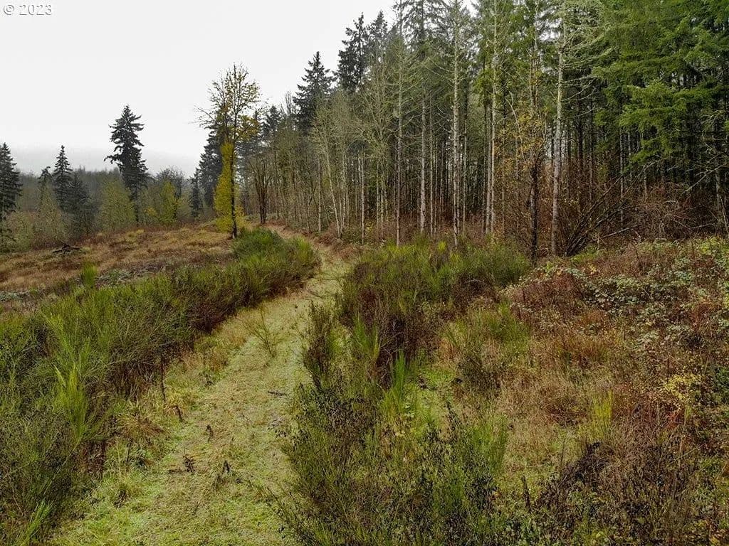 Lots & Land-Other in LaCenter - Washington, 98629