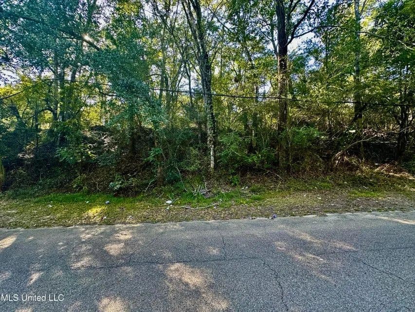 Land -Agricultural (Not Zoned) in Clinton - Clinton, Mississippi, 39056