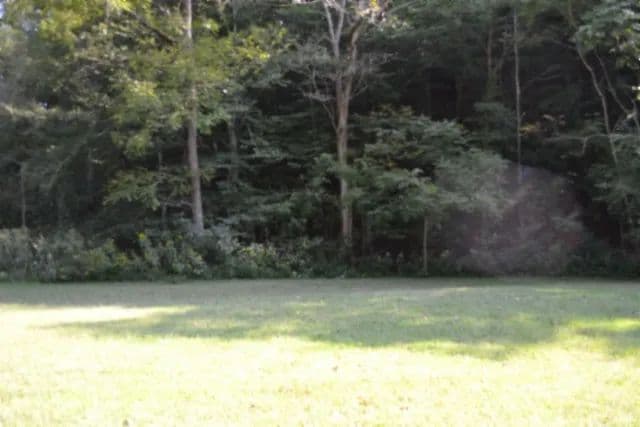 56.01 AC IDEAL HUNTING GROUNDS & RECREATIONAL IN THE HILLS OF TN - Celina, Tennessee, 38551