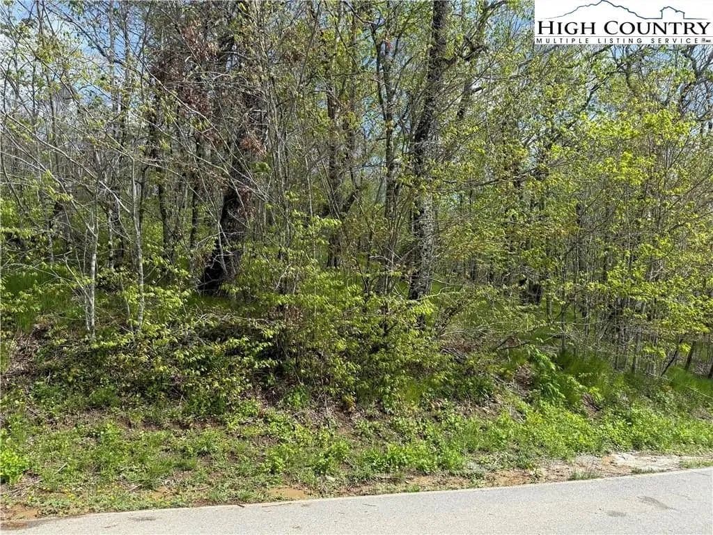 Lots & Land-Other in Banner Elk - Banner Elk, North Carolina, 28604