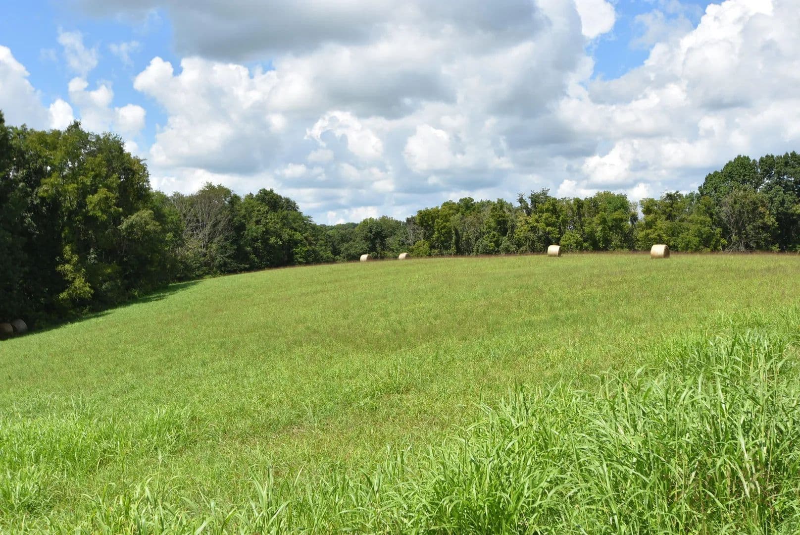 Vacant Land in Harrodsburg - Harrodsburg, Kentucky, 40330