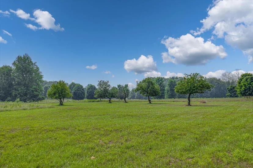 Vacant Land in Three Oaks
