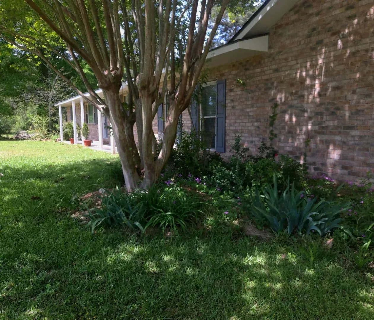 Life on the Farm - land for sale