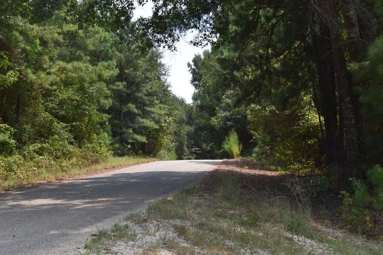 3 Creeks North B - El Dorado, Arkansas, 71730