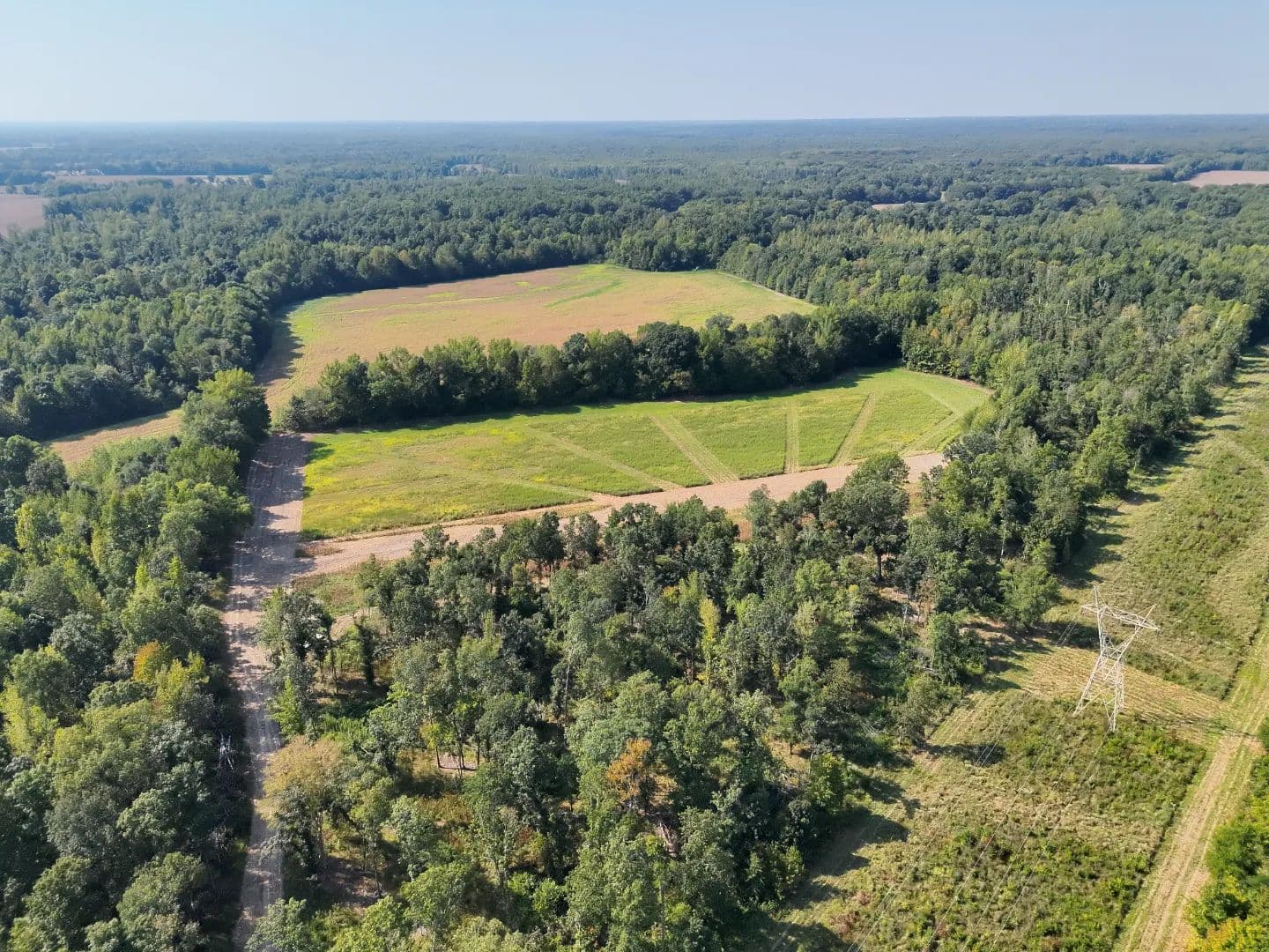 48.76 Acres in Madison County, TN  - Mercer, Tennessee, 38392