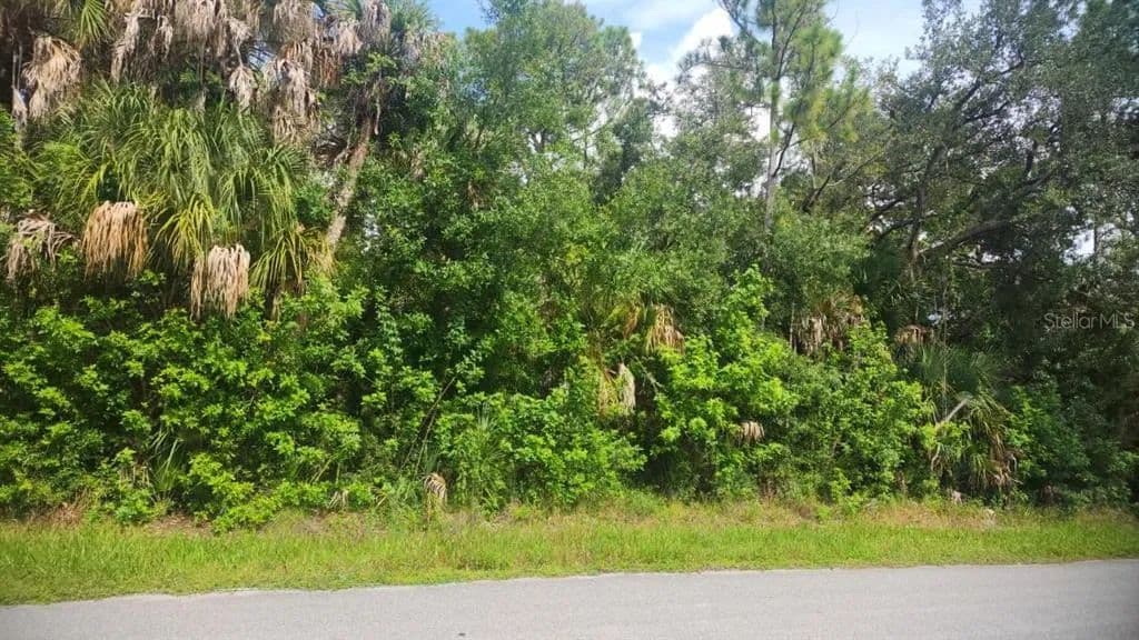Vacant Land in Port Charlotte - Port Charlotte, Florida, 33953