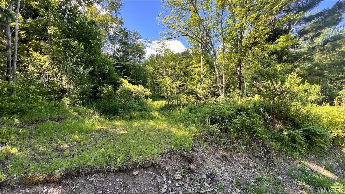 Property from Cherry Valley Road - KW - Allegany, New York, 14706