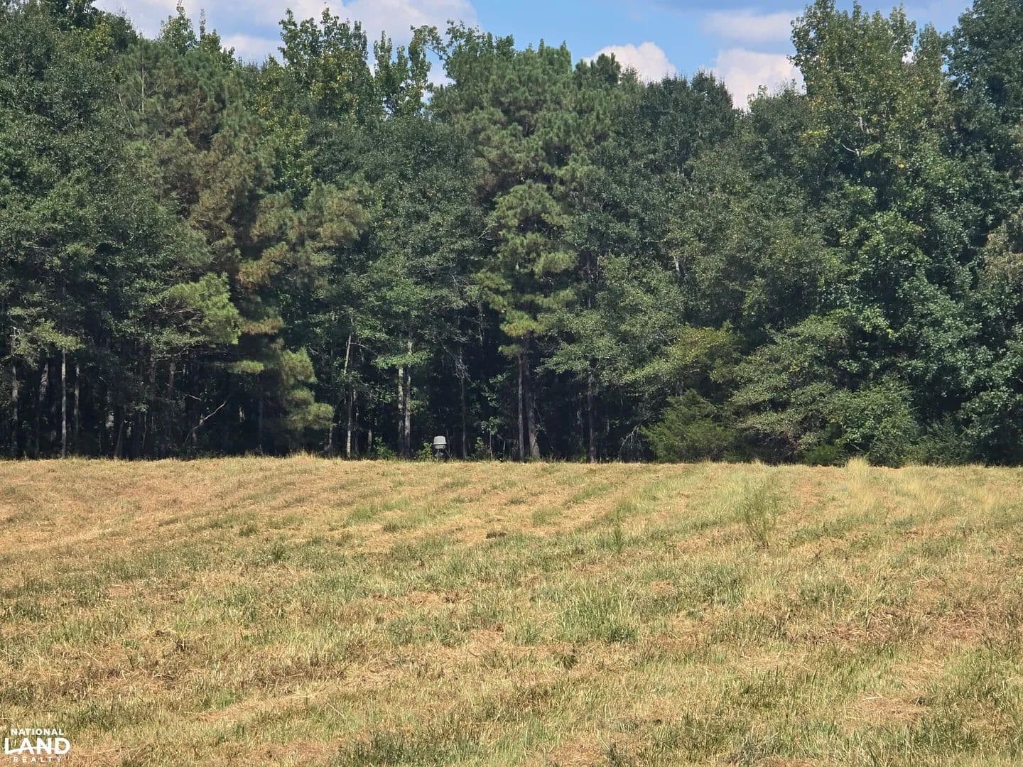 Deer & Turkey Hunting Camp Retreat - Kennedy, Alabama, 35574