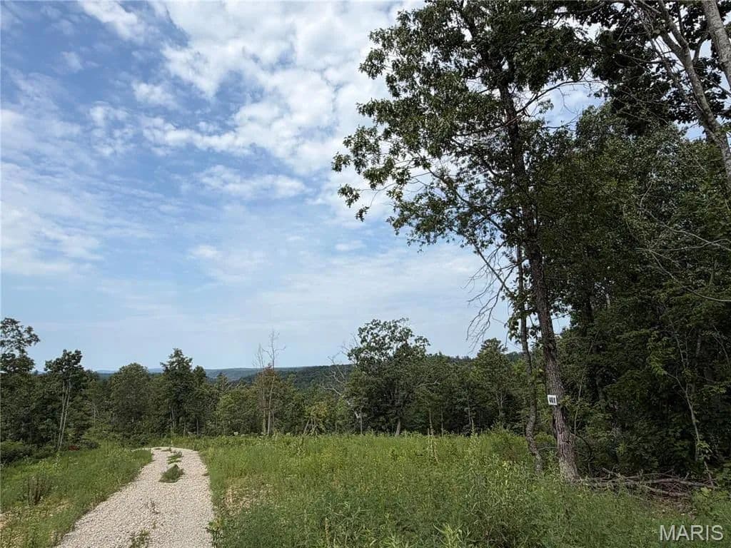 Lots & Land-Other in Fredericktown - Fredericktown, Missouri, 63645