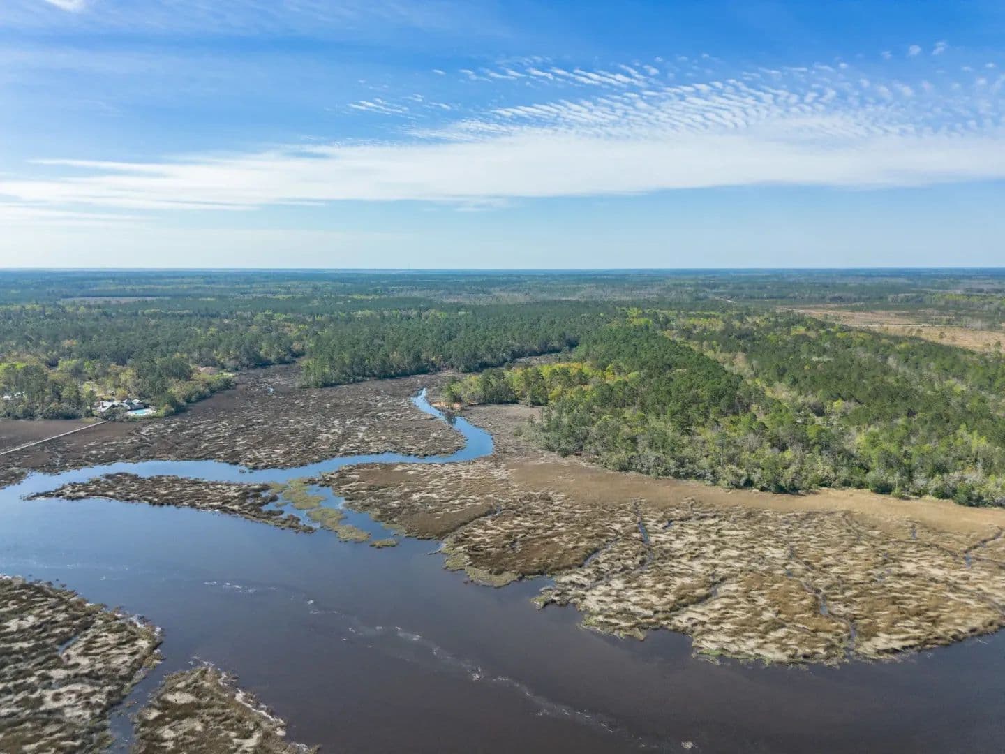 41 Acres of Land for Sale in Waverly, GA - Waverly, Georgia, 31565
