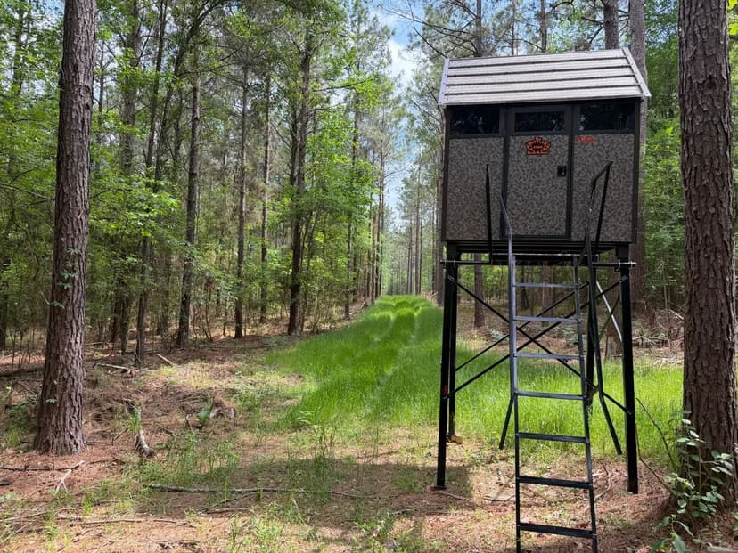 Saline Lake Hunting Property and Lodge Winn Parish LA