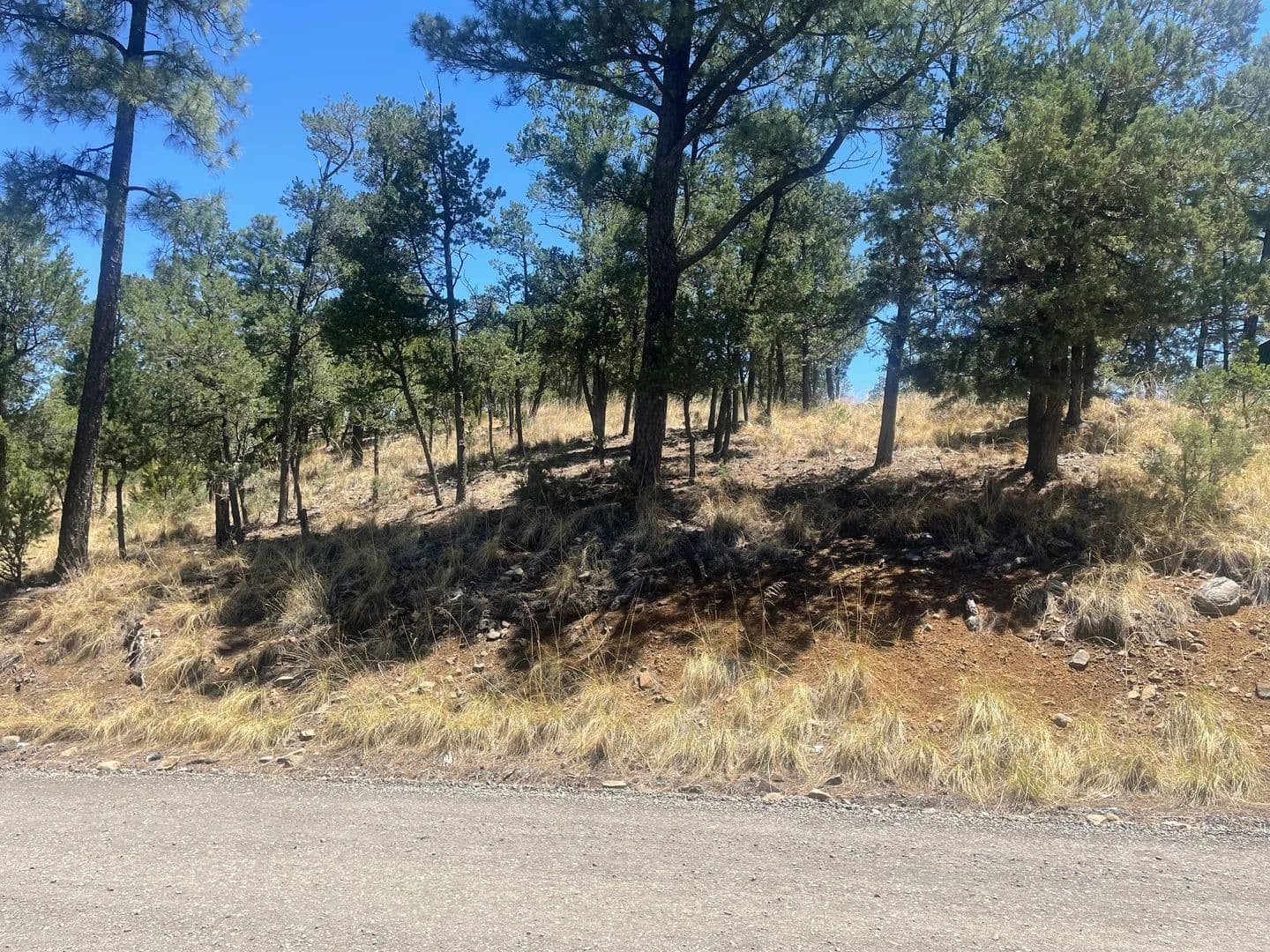 Lots & Land-Other in `Alto - New Mexico, 88312