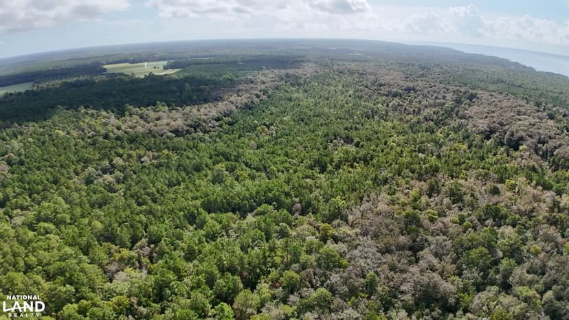 Pamlico Waterfront Recreational Tract