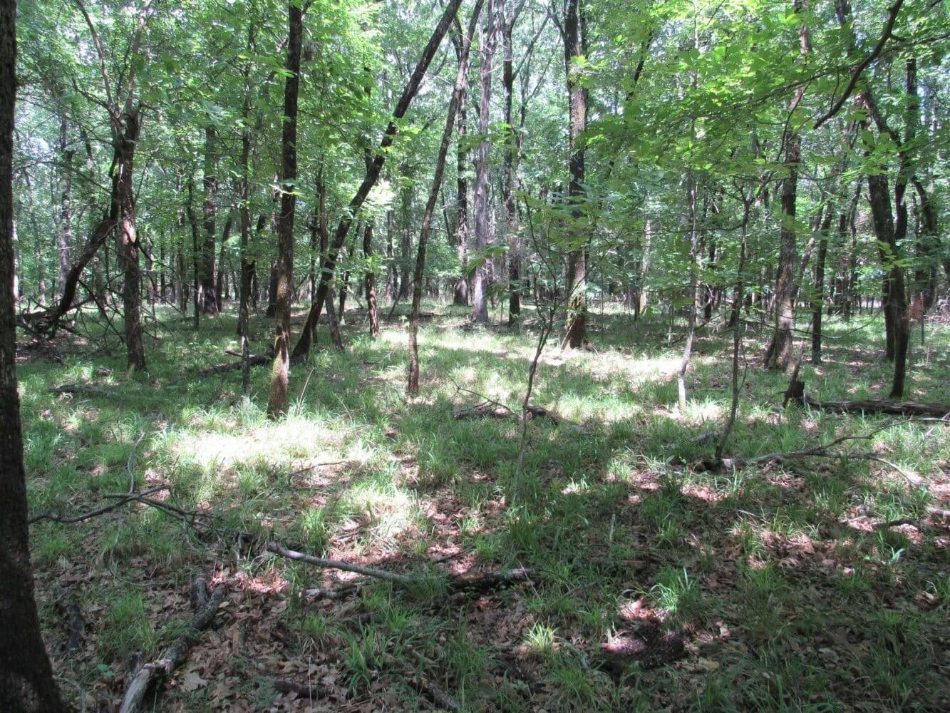 Eufaula Lakeview - Krebs, Oklahoma, 74554