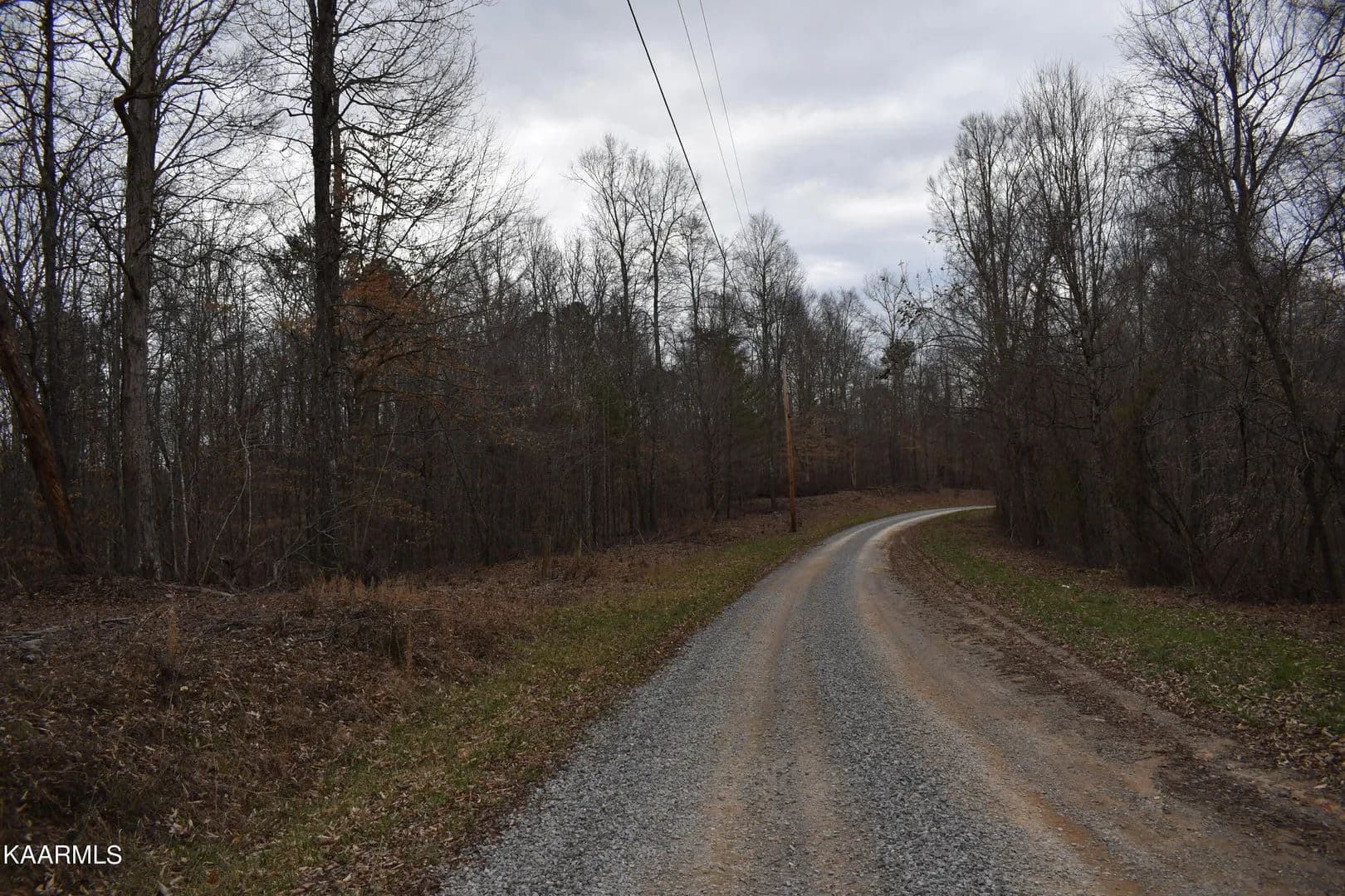 Lots & Land-Other in Speedwell - Speedwell, Tennessee, 37870
