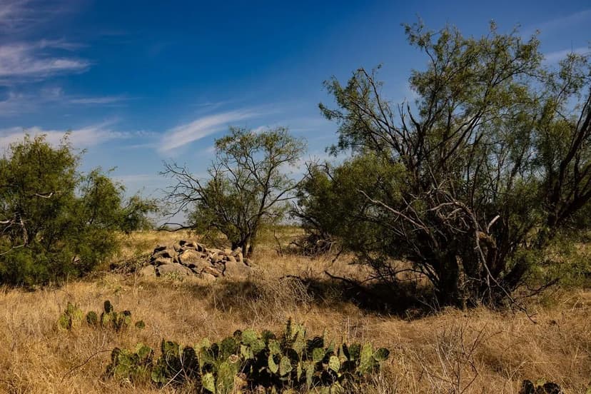 BUCKSKIN RANCH - 171 ACRES IN POTOSI