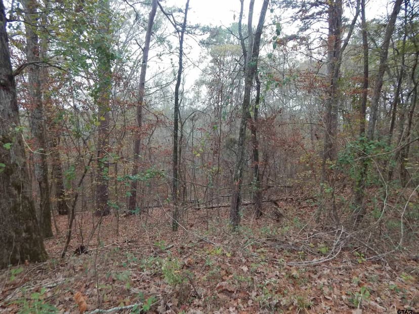 Vacant Land in Gilmer