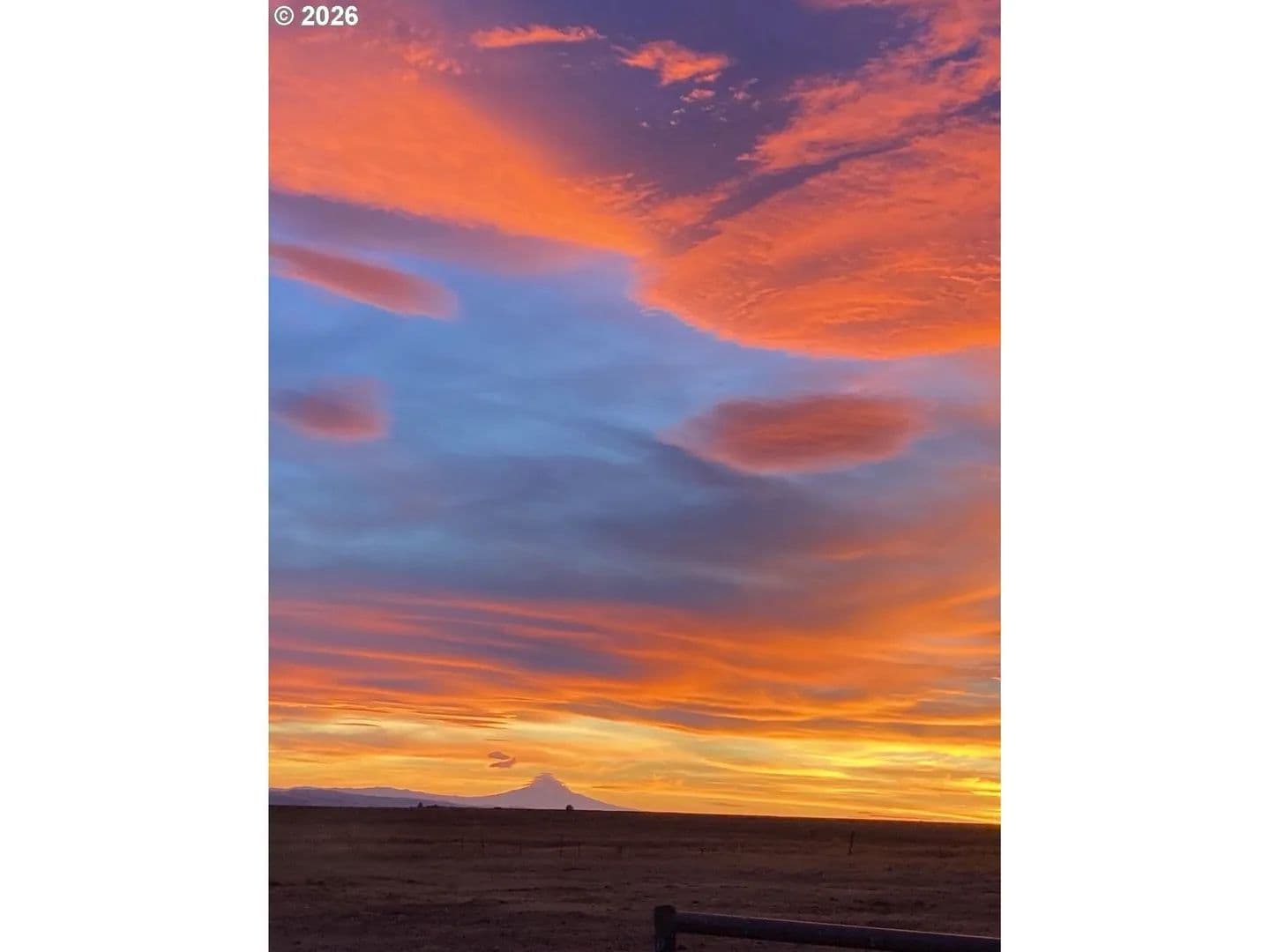 Lots & Land-Other in Bickleton - Bickleton, Washington, 99322