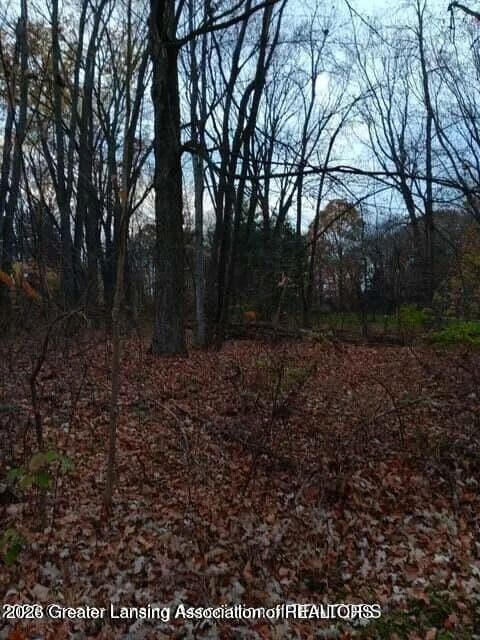 Lots & Land-Other in Williamston