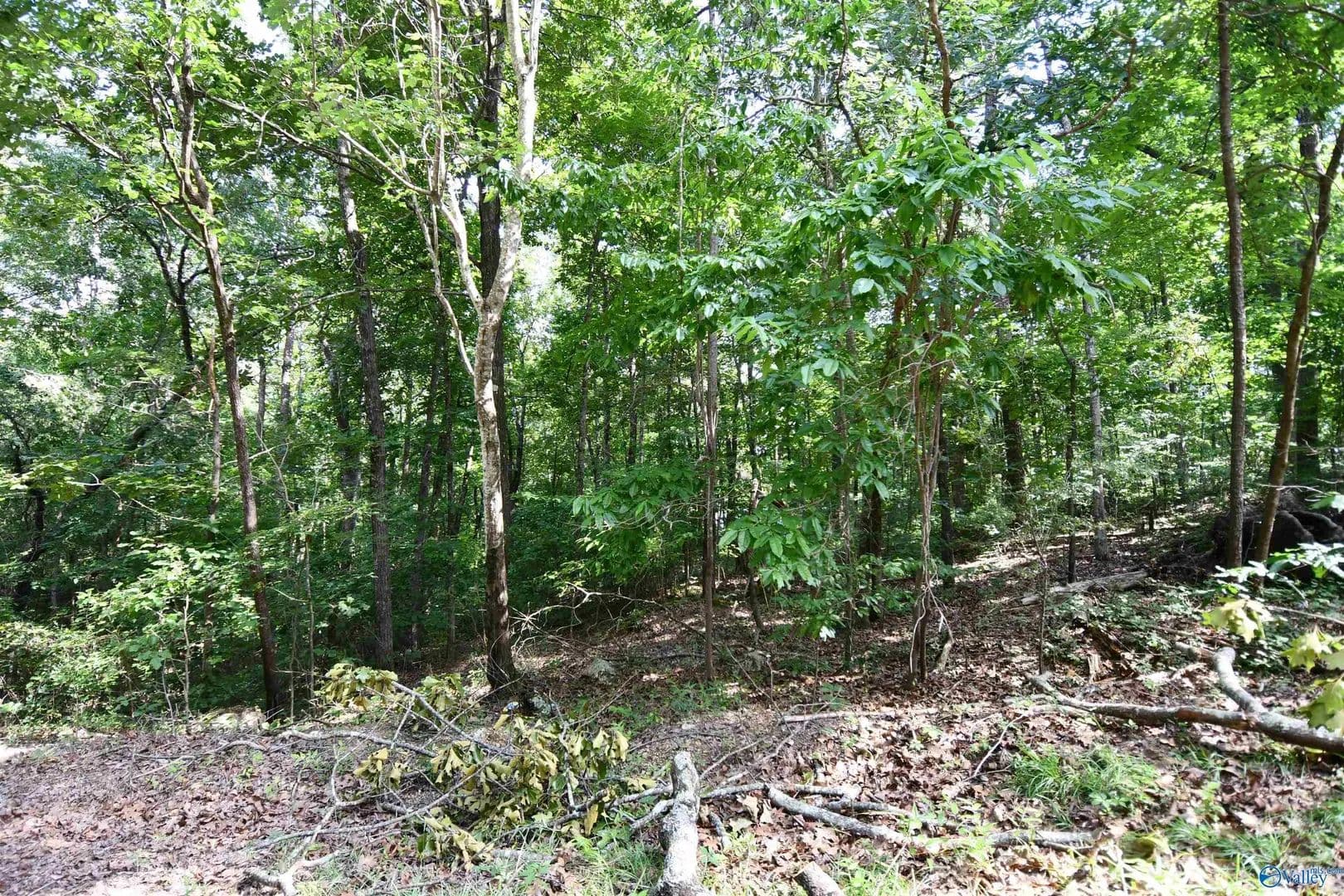 Property from LOT 67 Prince Circle - KW - Southside, Alabama, 35907