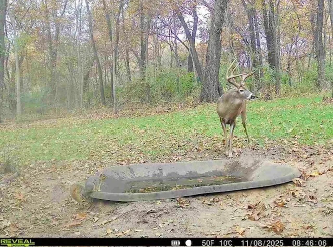 Cass County IL 10 acres great deer and turkey hunting! in Beardstown, Illinois - photo 16