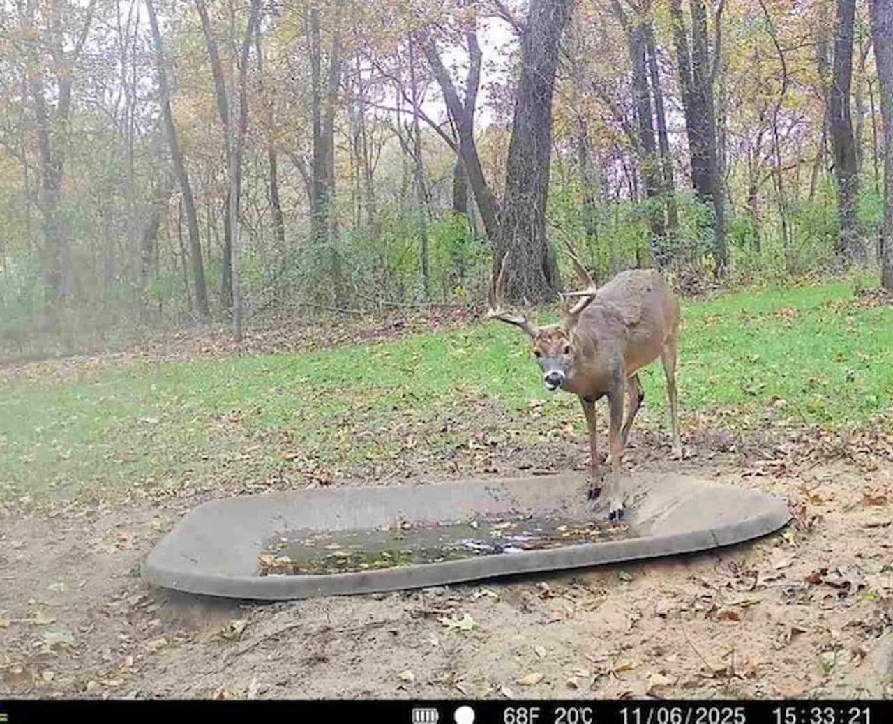 Cass County IL 10 acres great deer and turkey hunting! in Beardstown, Illinois - photo 15