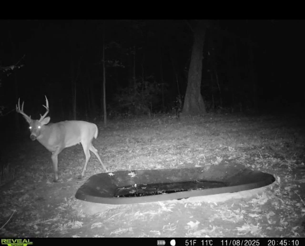 Cass County IL 10 acres great deer and turkey hunting! in Beardstown, Illinois - photo 19