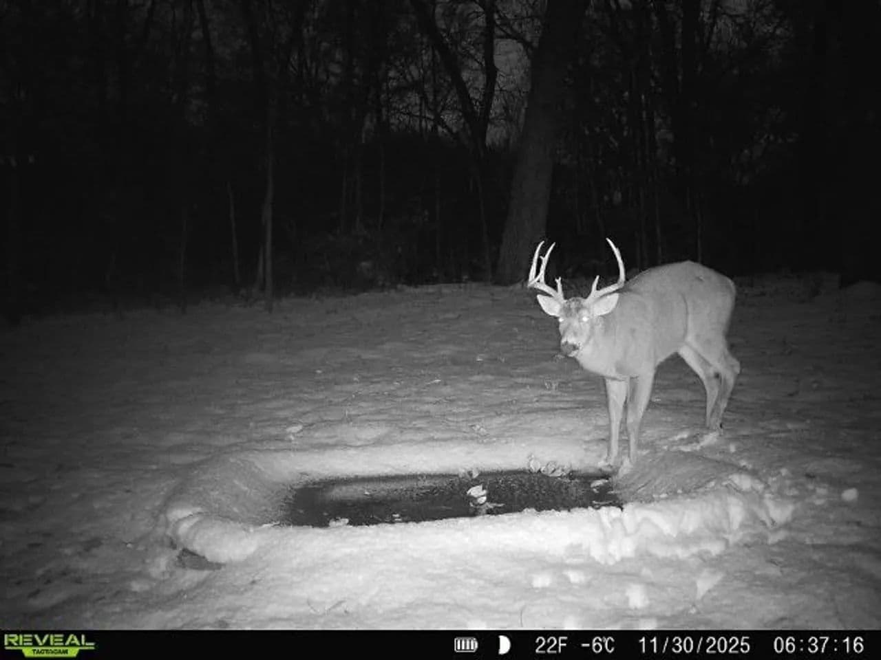 Cass County IL 10 acres great deer and turkey hunting! in Beardstown, Illinois - photo 10