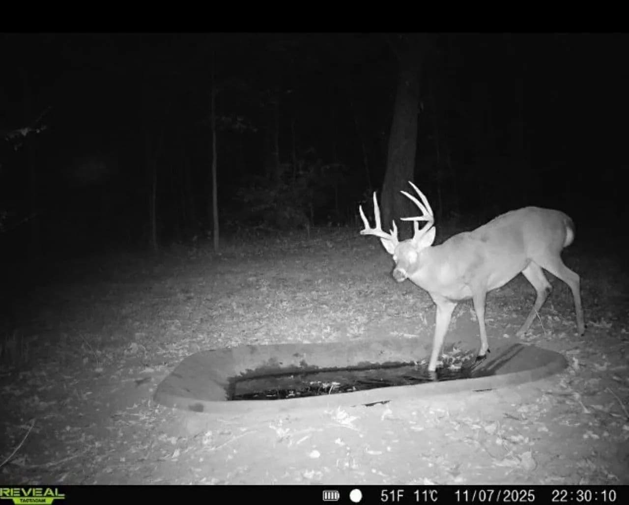 Cass County IL 10 acres great deer and turkey hunting! in Beardstown, Illinois - photo 18