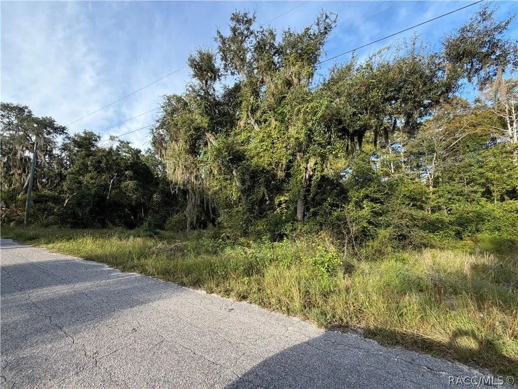 Lots & Land-Other in Inverness - Inverness, Florida, 34450
