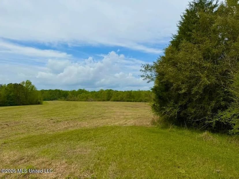 17+- of Pastureland West Lincoln School Smithdale MS 