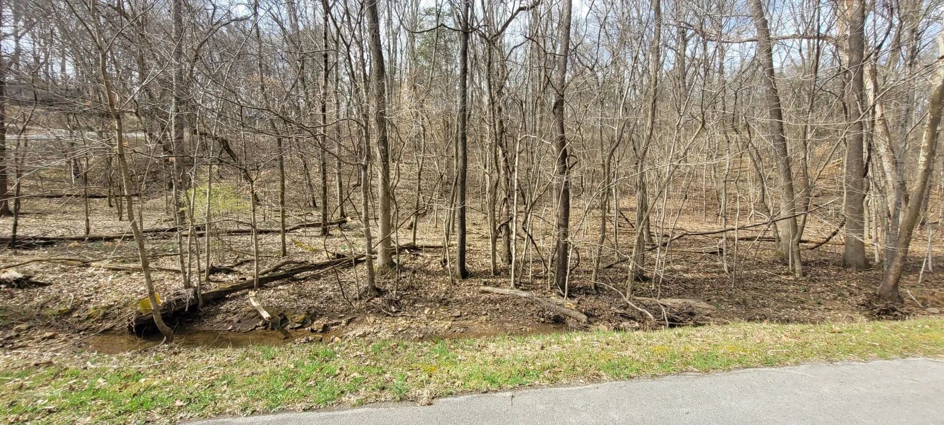 Vacant Land in Dover - Dover, Tennessee, 37058