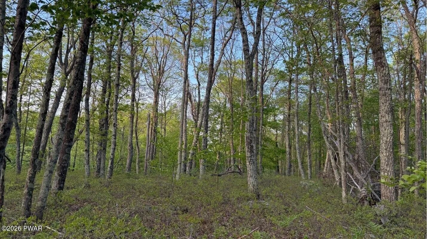 Lots & Land-Other in Hawley - Hawley, Pennsylvania, 18428