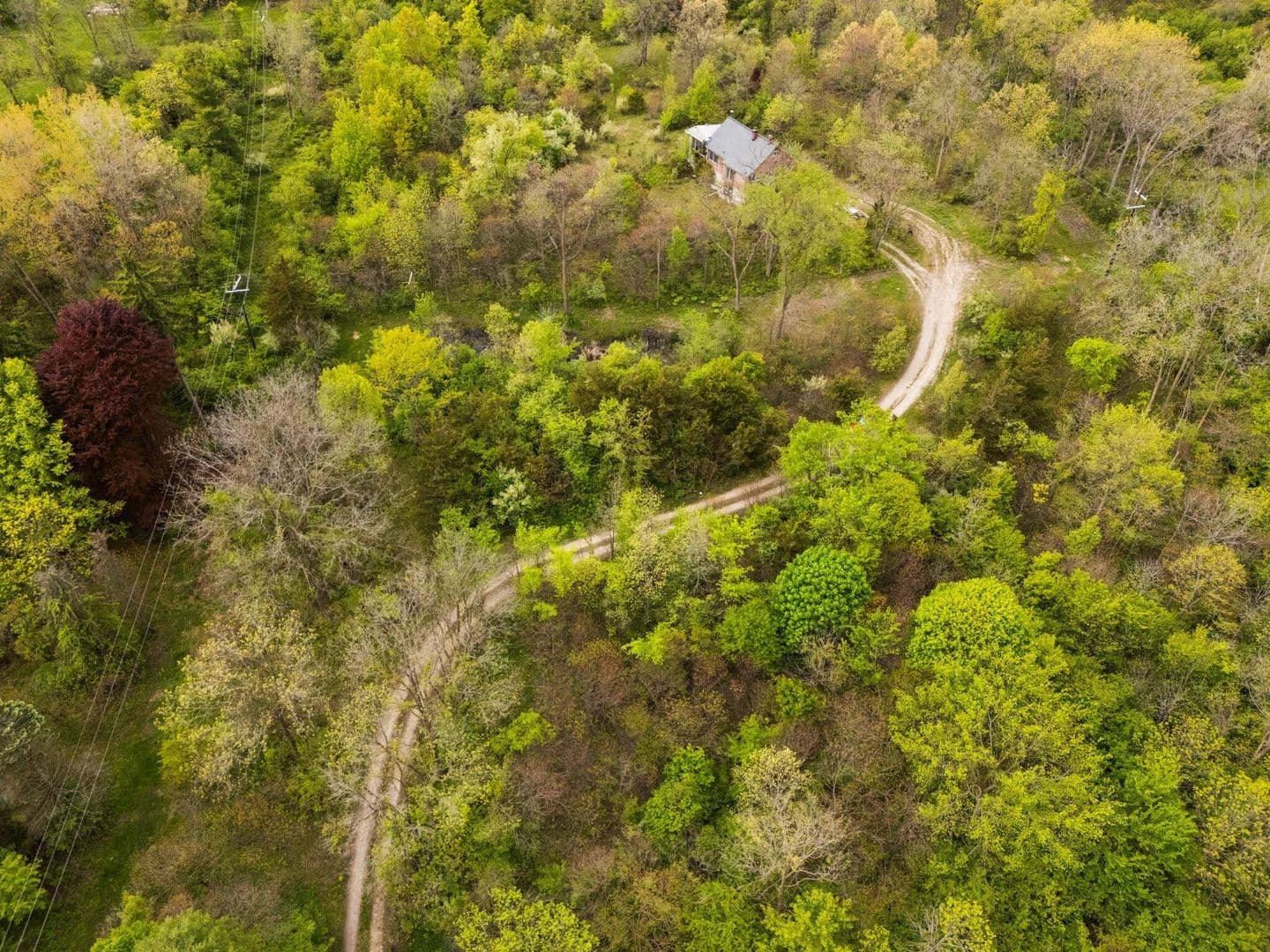 Property from 2203 Hickman Road - KW - , Michigan, 48198